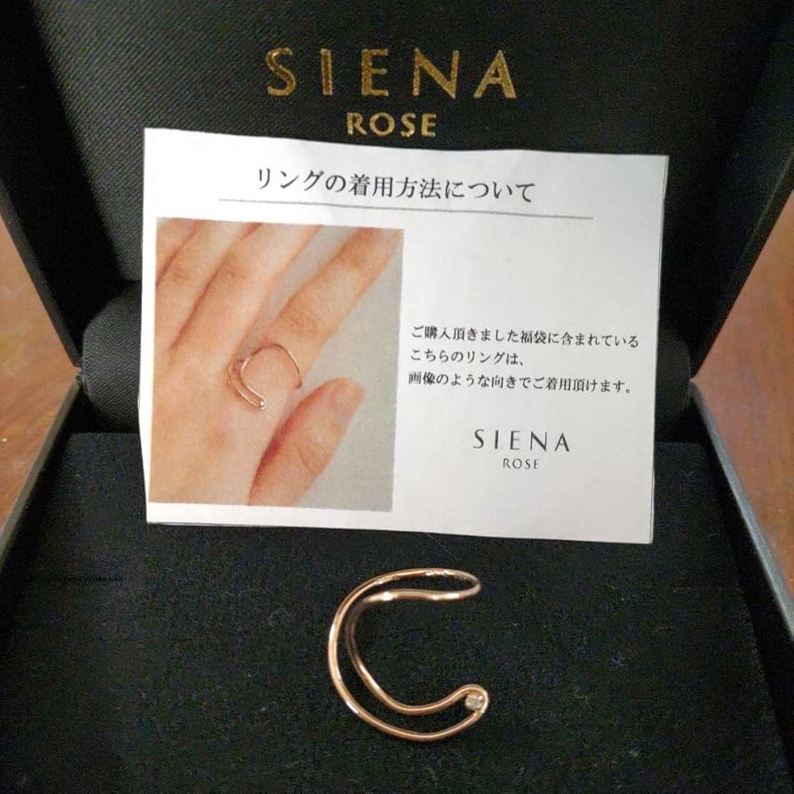 ルネのブローチ2025福袋 ルネのブローチ2025福袋 ルネのブローチ2025福袋 2025年最新