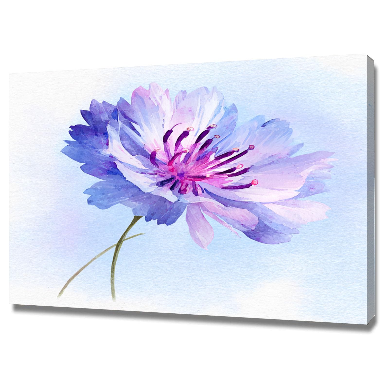 Teruea Purple Canvas Wall Art Flowers 1 Part Single Violet Blush Cornflower Soft Watercolour Floral Print For Home And Office Decoration(Purple)-70X100cm1 Framed