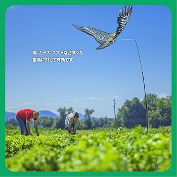 凧 凧 凧揚げ カイト 凧上げ タコ揚げ キッズ 子供 骨なしカイト