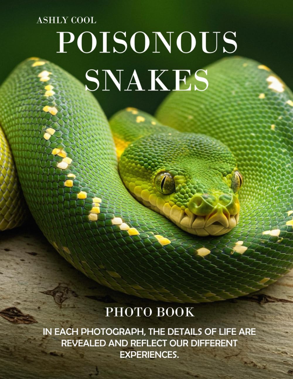 Poisonous Snakes: Exploring Poisonous Snakes: A Visual Journey Through Nature’s Fascinating Reptiles