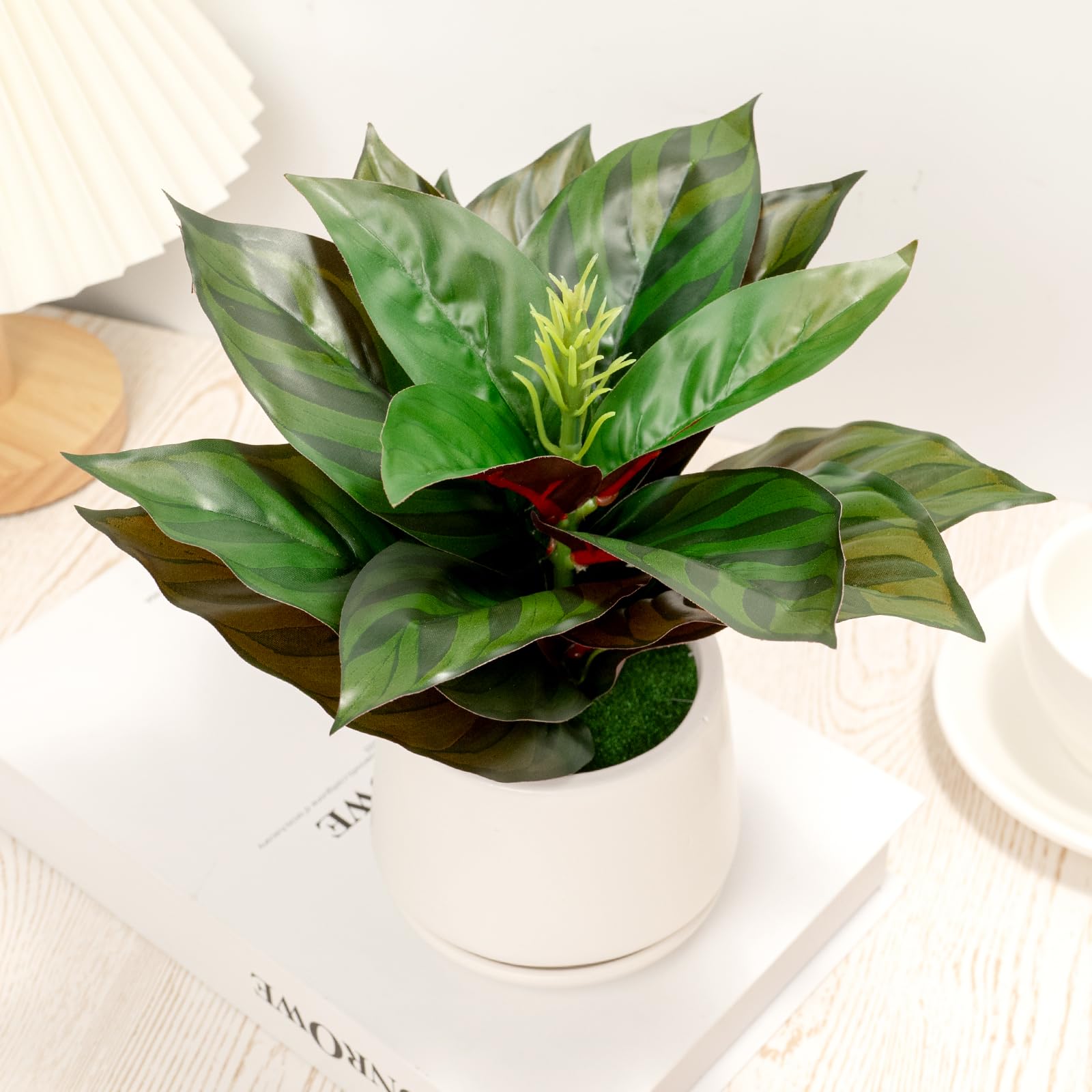 WOHSEROM Realistic Artificial Potted Desk Plant Faux Calathea in Ceramic Pot, 8.7" Small Faux Greenery Fake Prayer Plant for Desk, Bathroom, Office, or Home Decor (Evergreen, Maintenance Free)
