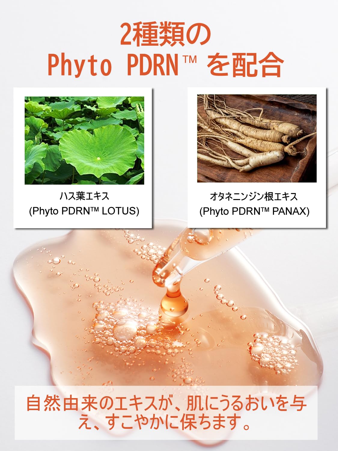 Amazon | KisoCare サーモン由来 PDRN ナイアシンアミド 高保湿 美容液