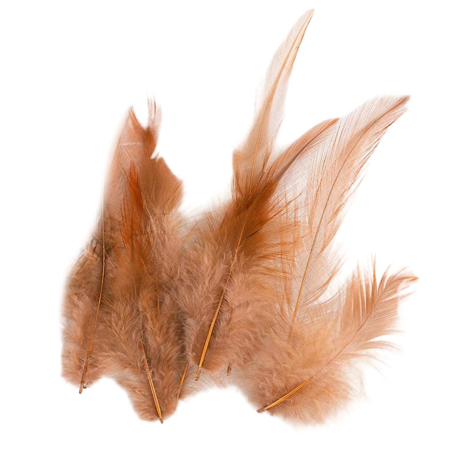 Hsioluted 100PCS Soft Plumage for Projects Portable Decorative Materials Ideal for Costume Design and Party Decoration Long Craft Quills