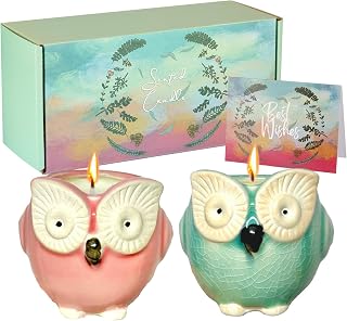 Geburtstagsgeschenk für Frauen Eulen Duftkerzen, 2er Pack Eulen Geschenke – Kerze Geschenk für Muttertag, Valentinstag und Weihnachten