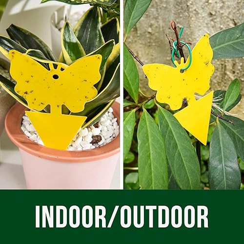 Miniatura 6 de Trampas Gant para interiores, trampa para insectos para moscas de la fruta, mata tejido de hongos pegajosos amarillos para plantas de interior,