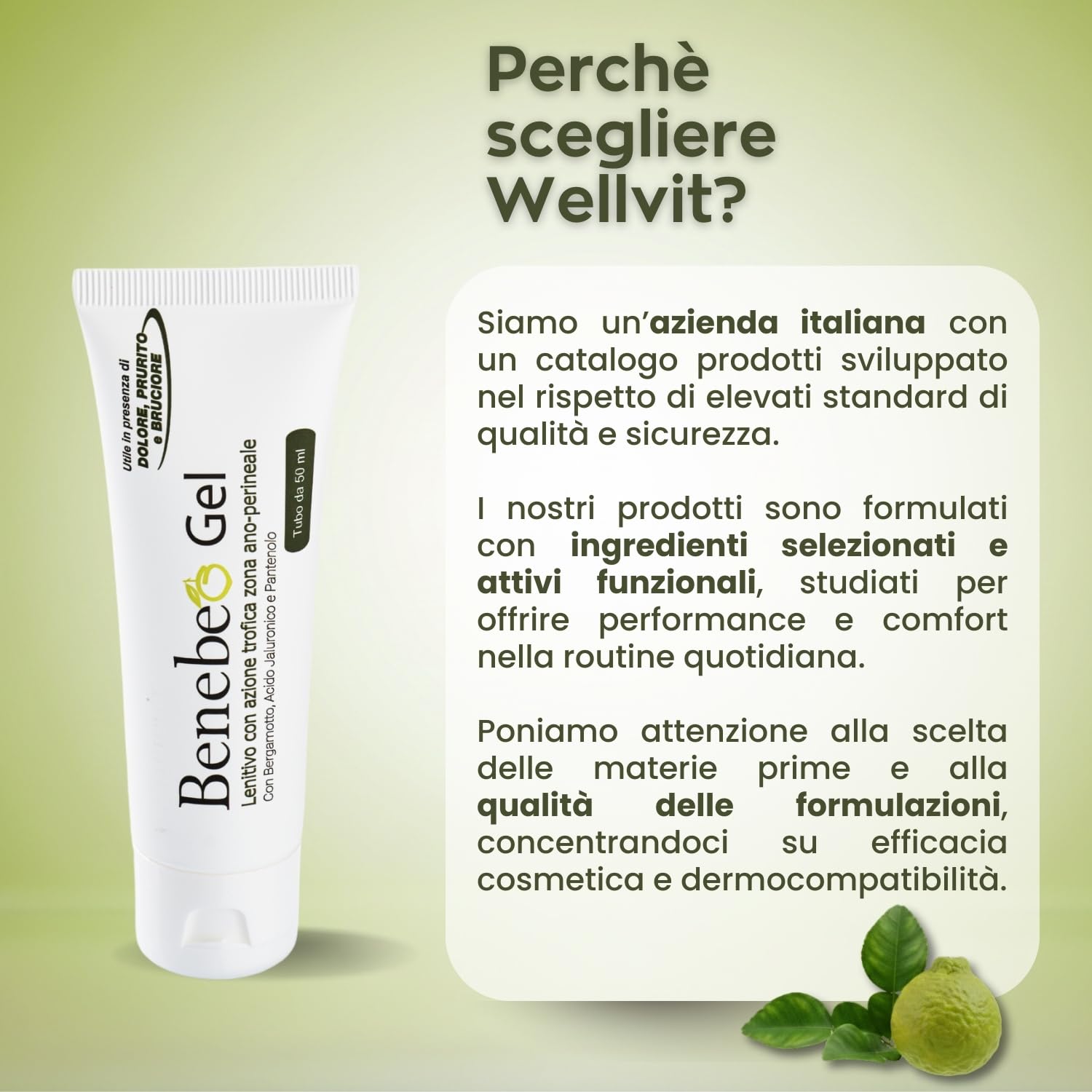 Benebeo Gel Wellvit - Crema Anale, Crema Intima Lenitiva Prurito Bruciore Zona Ano-Perineale con Acido Ialuronico e Pantenolo, Sollievo per Fastidio e Sensibilità, pH Fisiologico - 50 ml Made in Italy