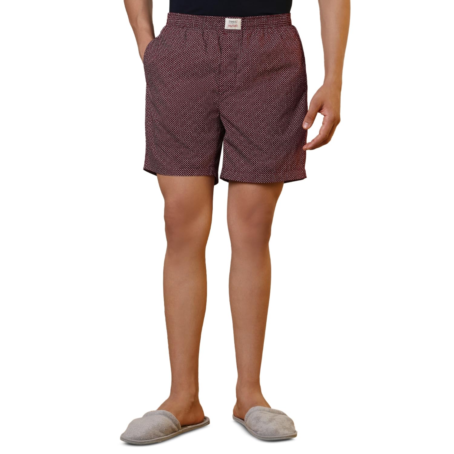sleepz by raymond Men Flat Front Regular Fit Print Pattern Pure Cotton Boxer-picture-26