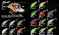 Vista 3 de Cotton Cordell Big O - Señuelo de pesca Crankbait de labio cuadrado