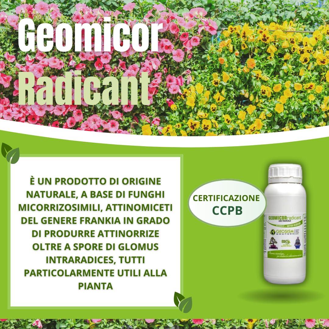 Geomicor Radicant Solid,  1 Kg , Inoculo Granulare Di Funghi Micorrizici E Batteri Della Rizosfera Per Ortaggi Piante E Fiori 8052570849215