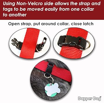 Quick Change Dog Tag Clip Easily Switch Tags from One Collar to Another (Green)