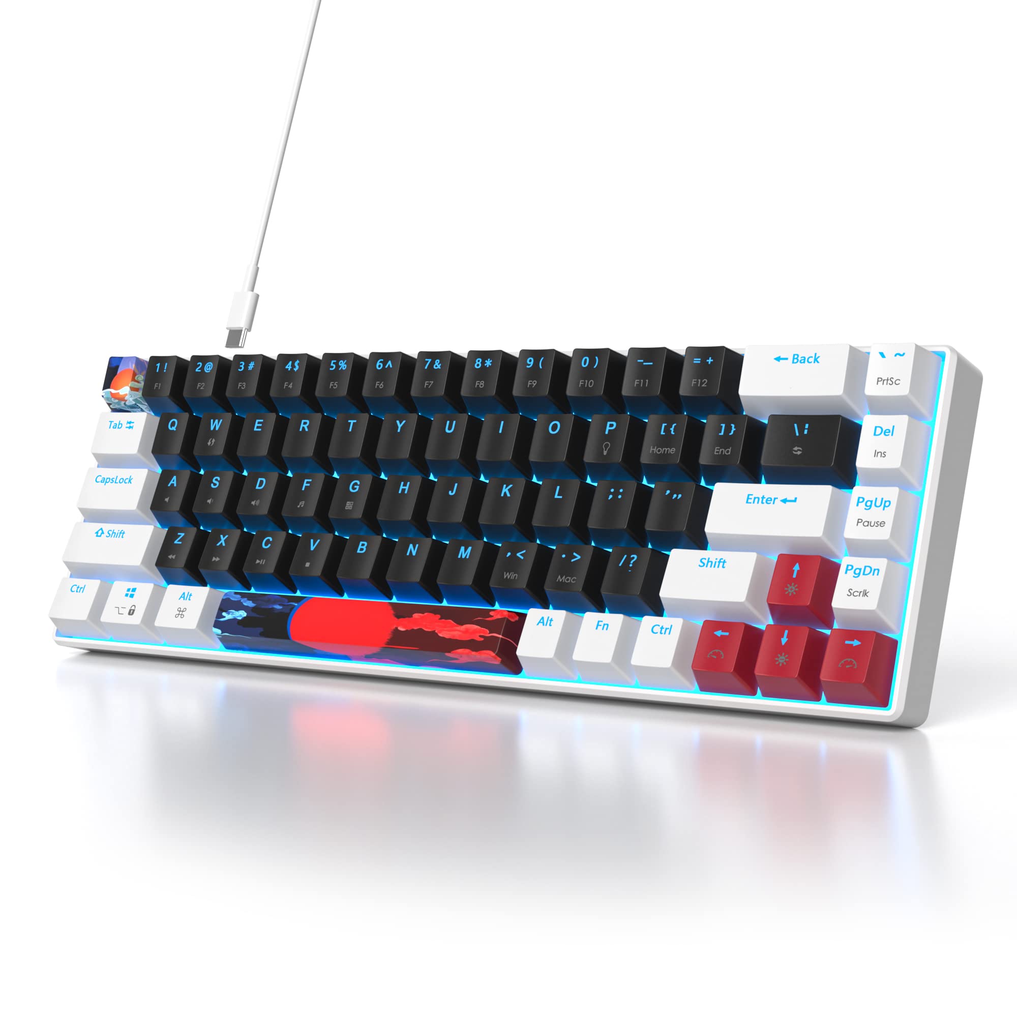 SOLIDEE 65% Teclado mecánico para juegos,68 teclas con interruptores rojos lineales,Teclado mecánico con cable con retroiluminación LED,Teclado ergonómico compacto para PS5/PS4/Xbox(68 White_Black)