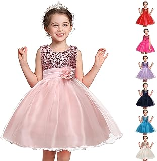 Little Girls' Easter Sequin Mesh Flower Ball Gown Dress Tulle Prom Birthday Pageant Evening Dresses for Wedding Party