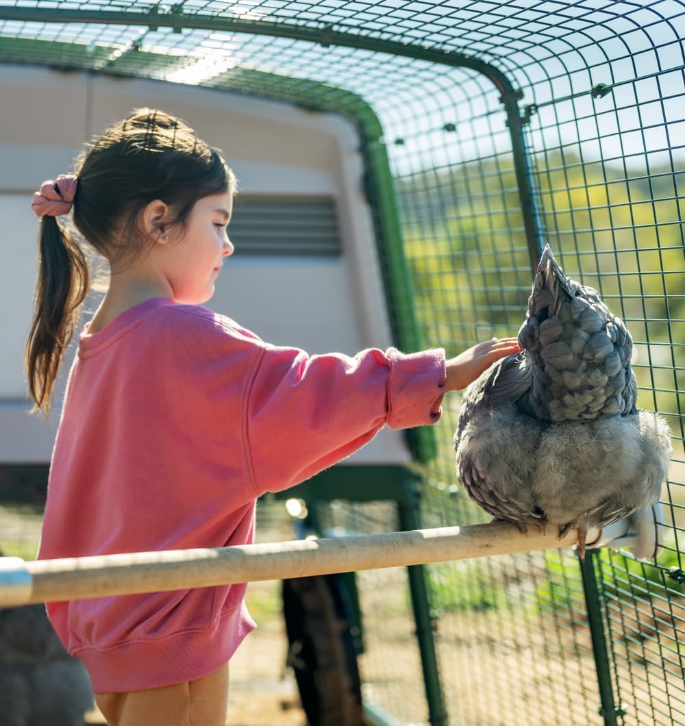 Omlet Chicken Perch | Enhance Your Outdoor Chickens Run with a Fun Accessory | Naturally Weather Resistant Perch with an Innovative Bracket Design | Eucalyptus Wood | 6ft