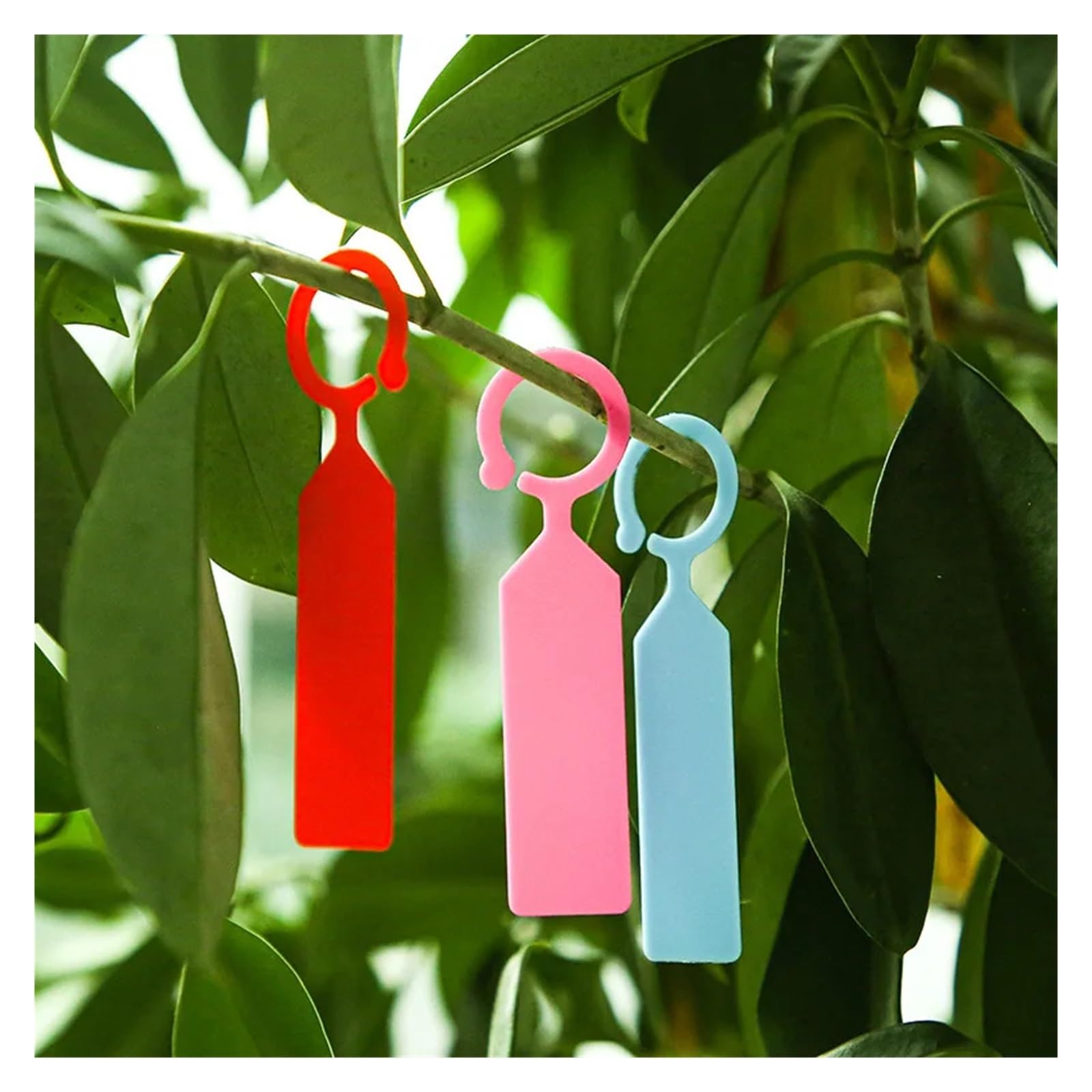 Etichette per Piante 500 pezzi di cartellini for piantagione da giardino, ganci for alberi, cartelli in plastica impermeabili, riutilizzabili, appesi, etichette(WHITE)