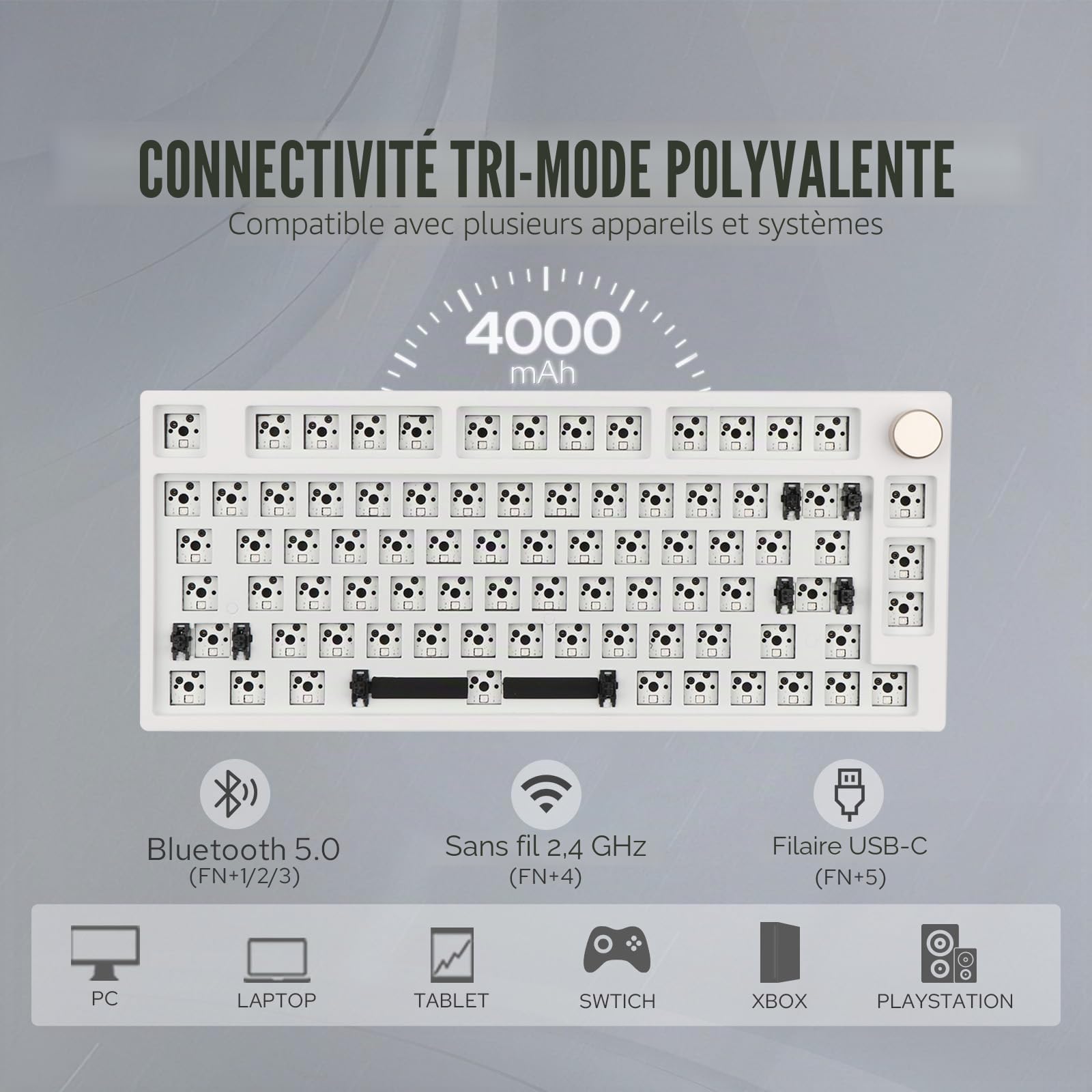 EPOMAKER TH80 Pro 75 % 80 touches à échange à chaud Triple Mode Gaming Keyboard PCB Platting Kit avec mousse à vapeur, LED à facettes South-Facing Compatible avec les commutateurs 3/5 broches (Blanc)