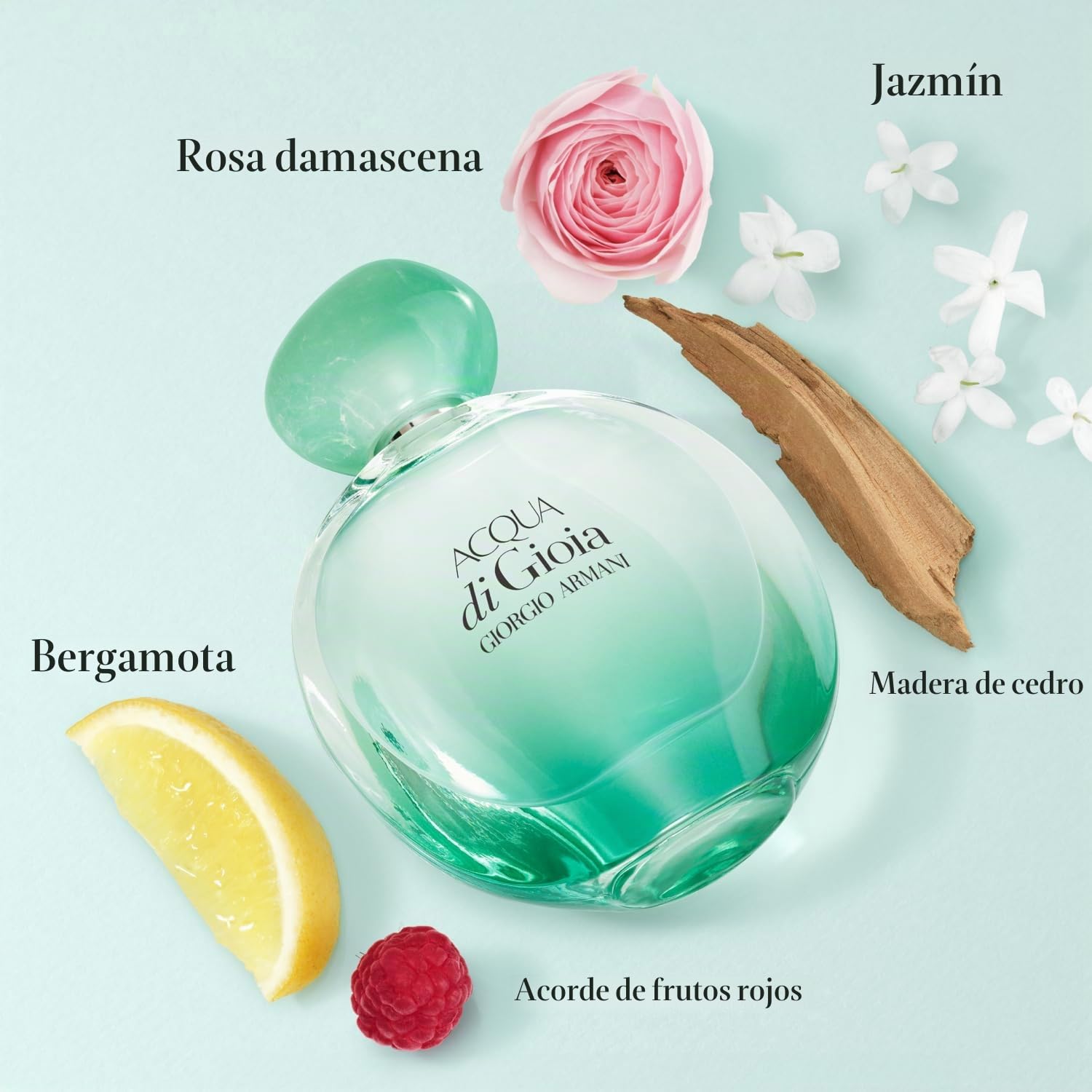 Giorgio Armani Acqua di Gioia Intense Eau de Parfum 100 ml