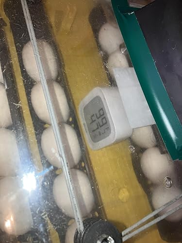 Review Image by AlltheThings