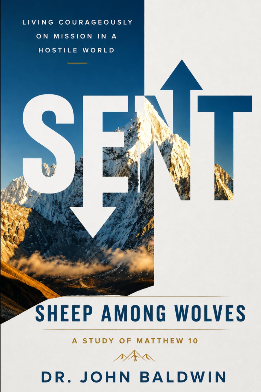Sent: Sheep among Wolves (The Biblical Wisdom Collection)