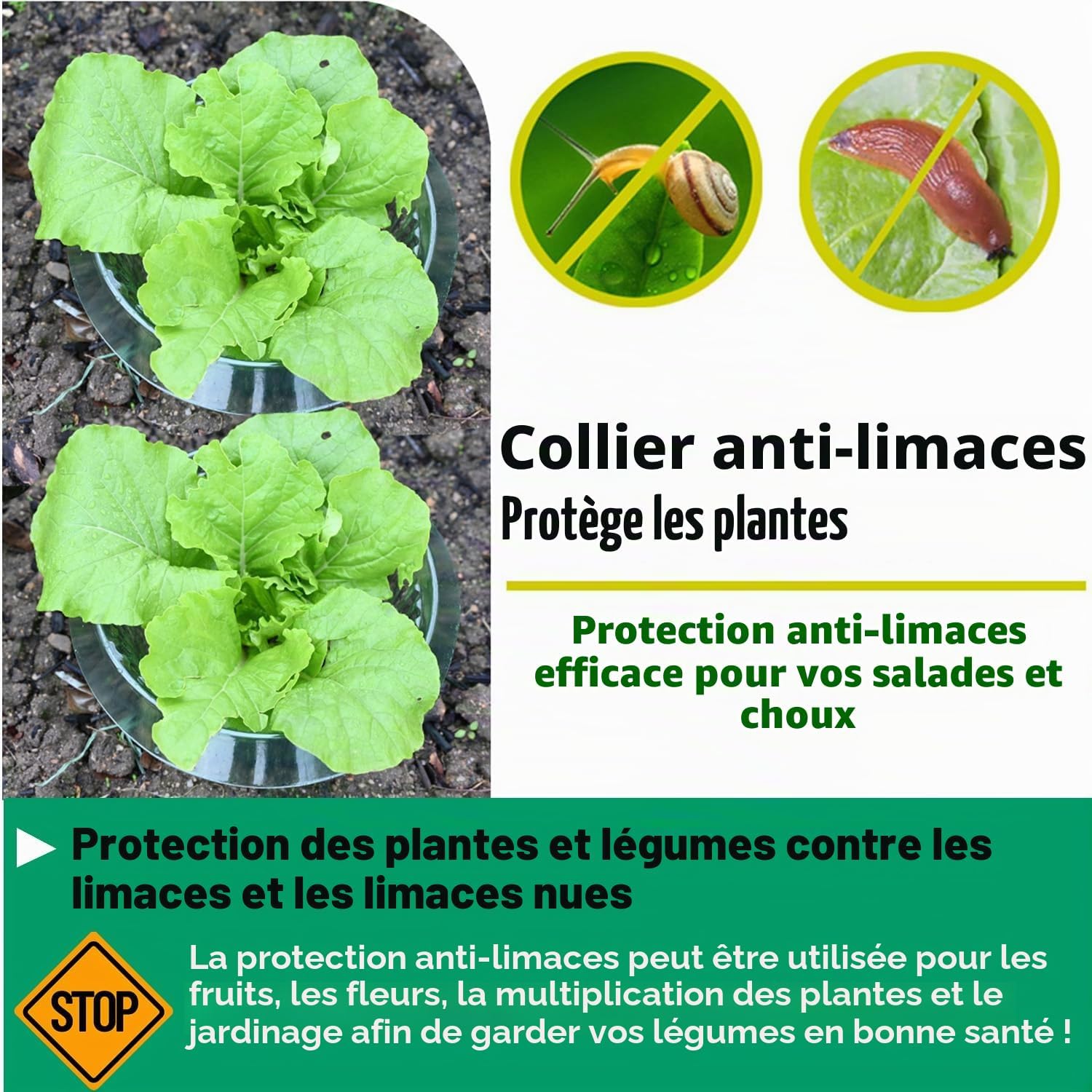 Collerette Anti-escargots pour Plantes de Salade et Charbon, Protection Contre Les escargots sans Produits Chimiques, Protection des Plantes de Salade en Plastique (15 pièces) — vue 3