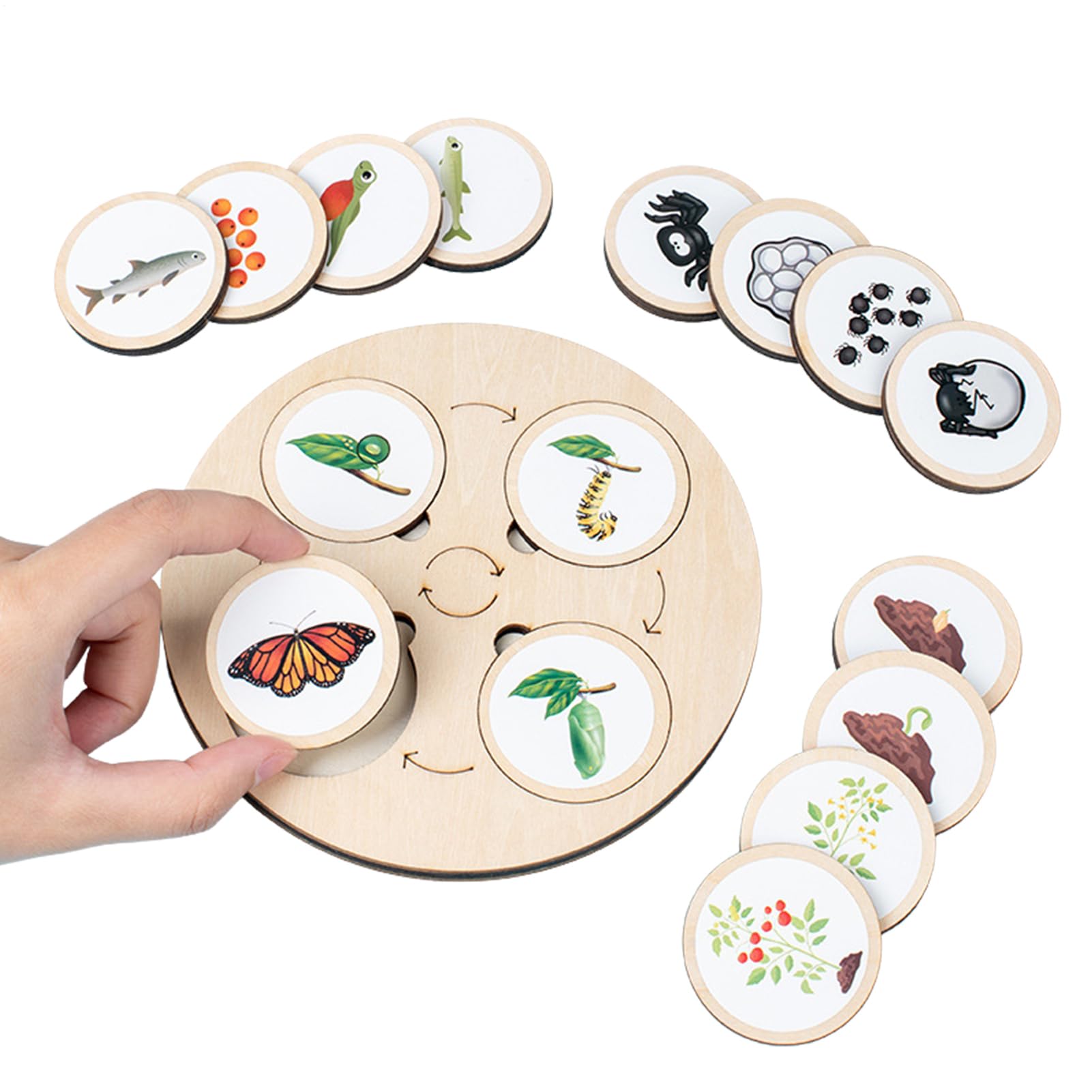 Life Cycle Puzzle - Life Growth Cycle Board,Toddler Wood Puzzle Toys Life Cycle | Wooden Jigsaw Puzzles, Animal Figures Matching Game, Educational School Project Toy Gift