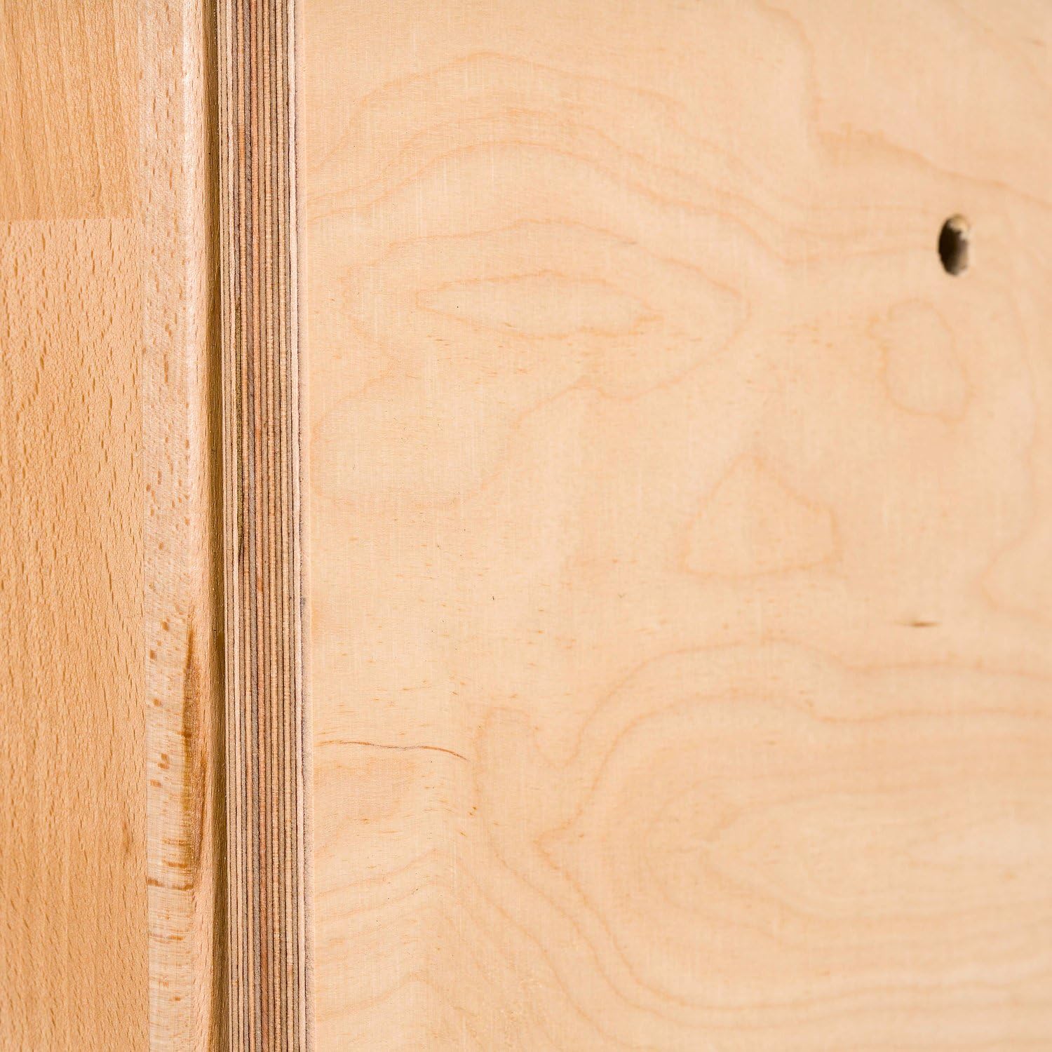 Sport-Thieme Turnwand-Einzelelement TuWa Kletterwand ohne Griffe