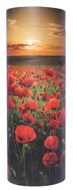 Urna para esparcir cenizas, tubo; urna biodegradable y respetuosa con el medio ambiente, Poppy Sunset Large