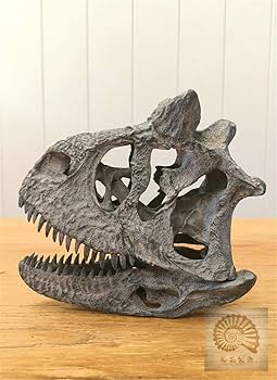 Amazon | 菊石 カルノタウルス 骨格 頭蓋骨 恐竜 プラモデル