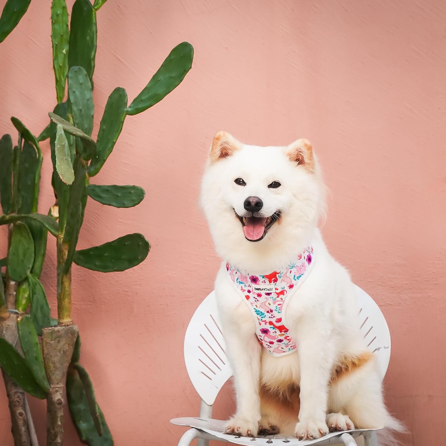 Dinosaur Print Adjustable Dog Harness for Small & Medium Dogs, Soft Breathable No Pull Vest Harness with Premium Fabric, Secure Fit and Stylish Durable Hardware for Everyday Walks(XS) image 5