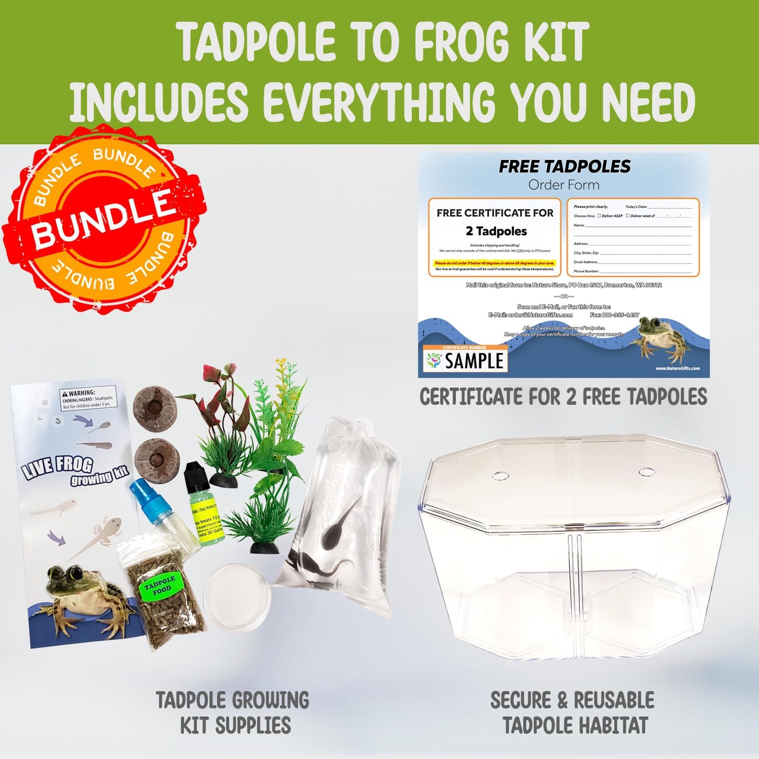 Tadpole to Frog Starter Kit - Includes Certificate for 2 Live Tadpoles - All-in-One Bundle with Habitat, Food, Instructions - Ideal for Education and Home Observation