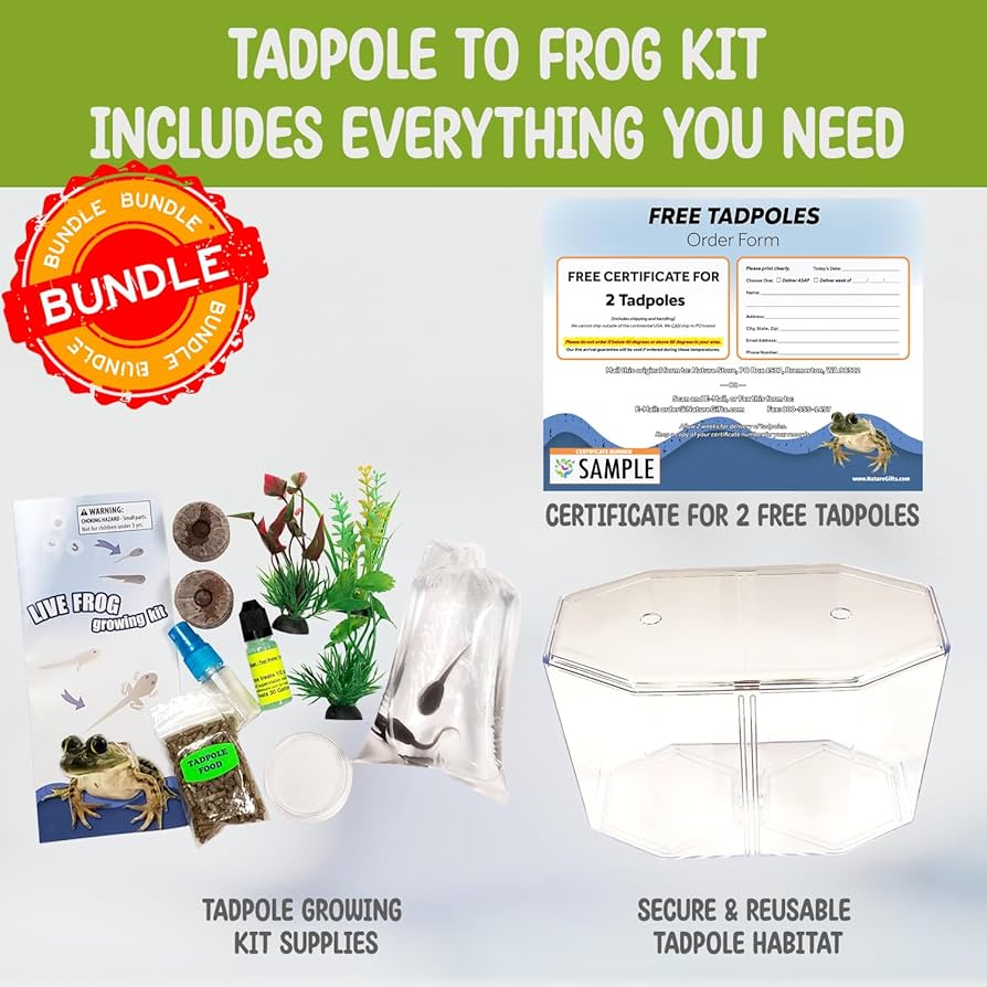 Amazon.com: Tadpole to Frog Starter Kit - Includes Certificate for