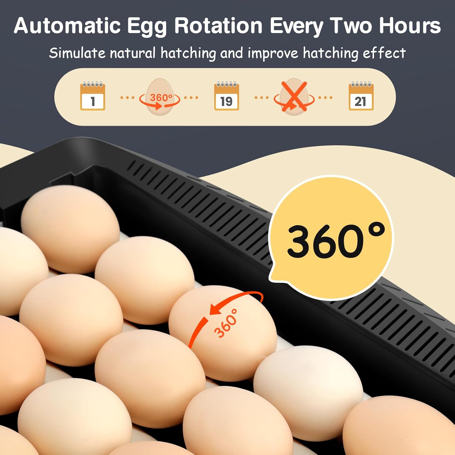 Sailnovo 35-65 Egg Incubator showing eggs rotating 360 degrees for automatic turning