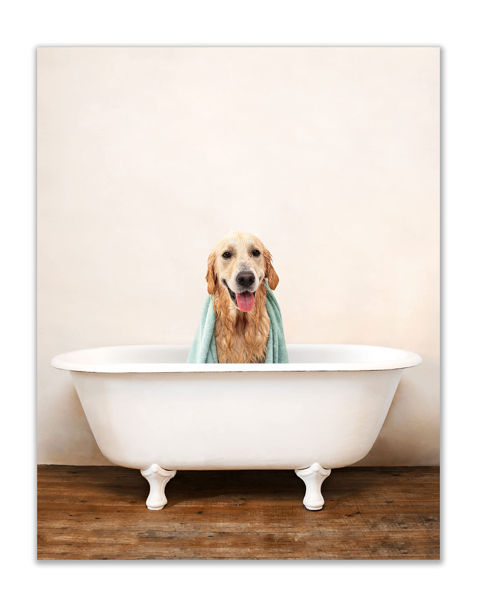 Lab in a tub