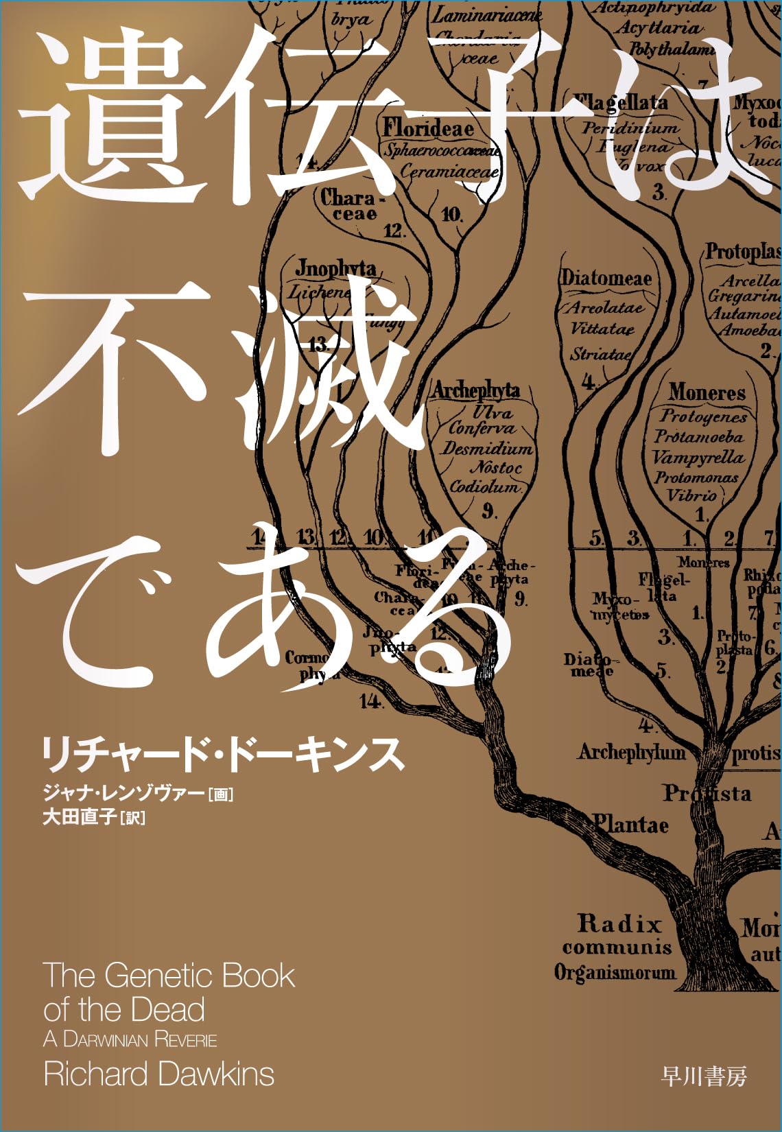 71S1Pw2Bg3L.jpg