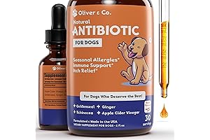 Natural Dog Antibiotics|Dog Ear Infection Treatment