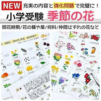 Amazon | 小学校受験マスター 教材セット 季節 野菜 果物 動物