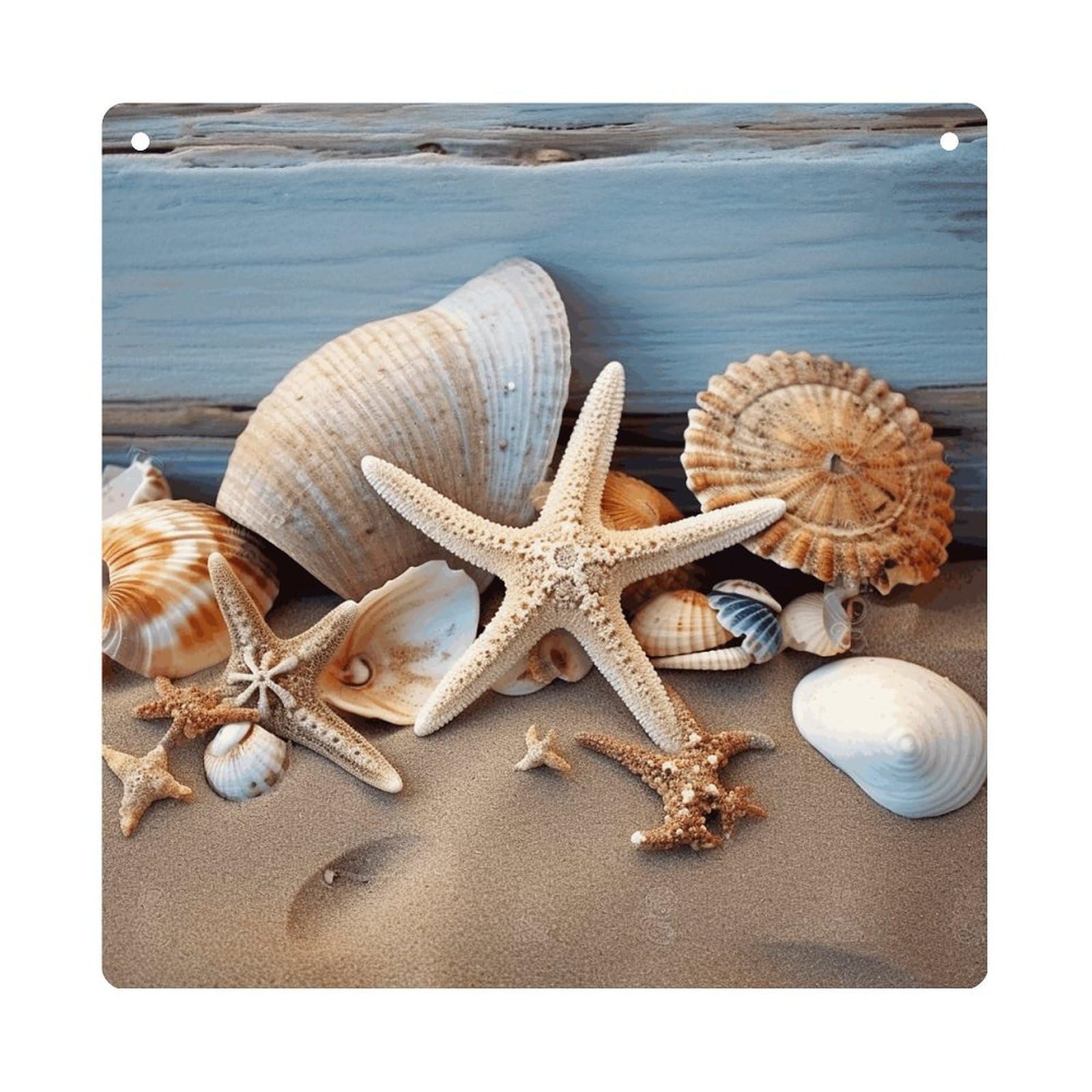 Adfgyerh Style Seashells Starfish Sand Hanging Ornaments Window Hanging Modern Acrylic Decor For Living Room Bedroom Dining Room Hallway Office Wall Decor, 8X8 In