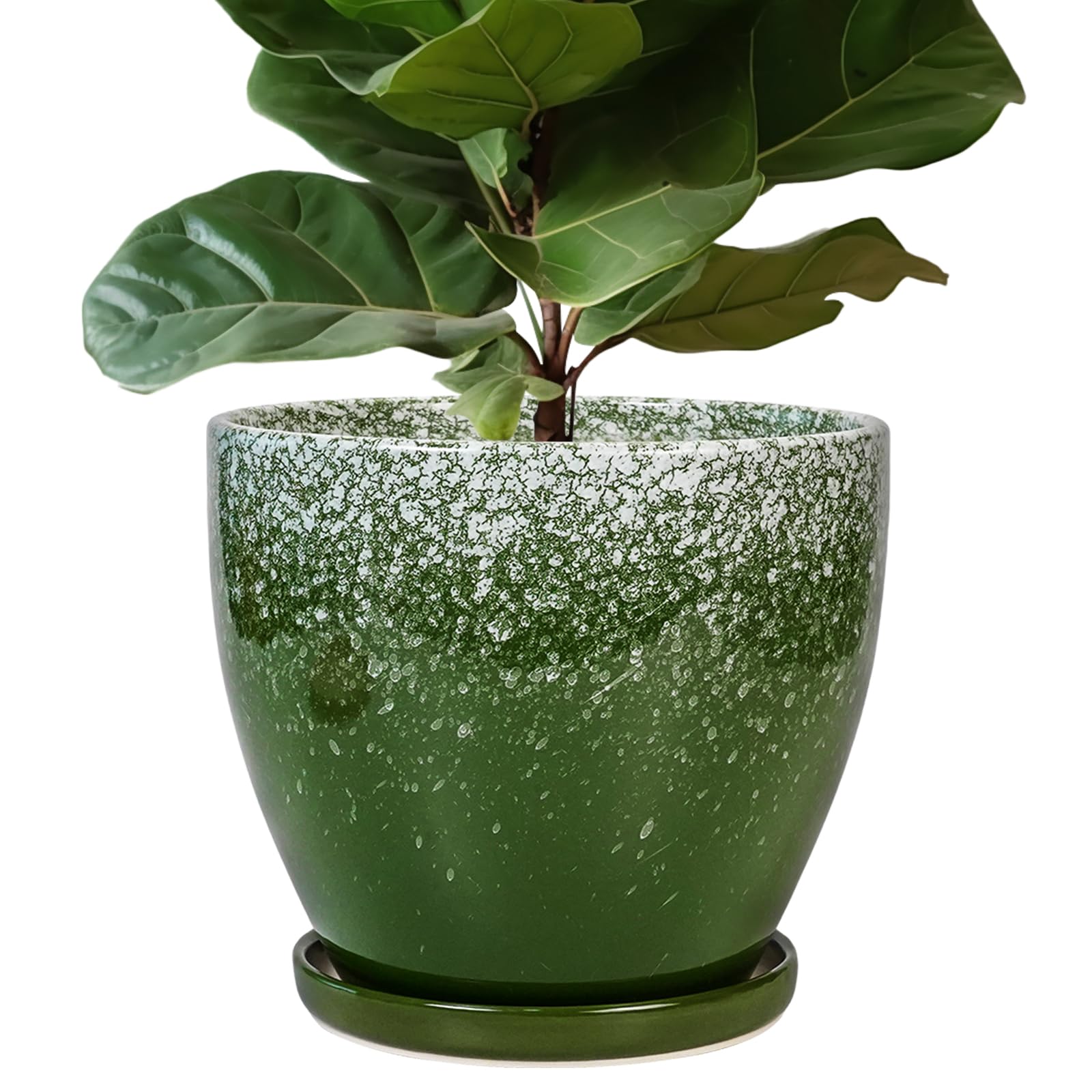 EPFamily 10-Inch Ceramic Planter