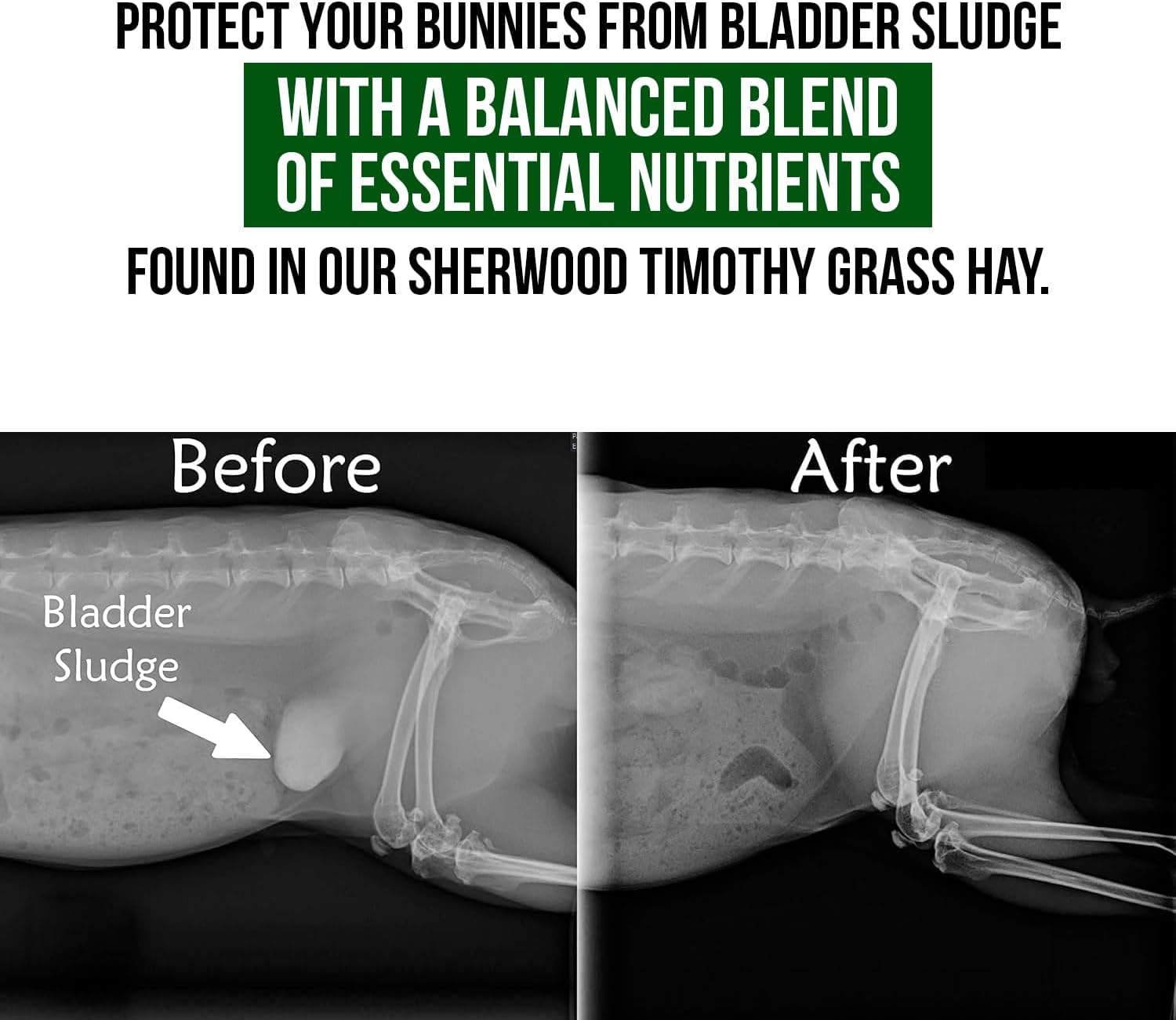 Sherwood Pet Health Adult Rabbit Food Timothy Hay Pellet 10 lbs. Hay-Based, Grain-Free, Soy-Free for Better Digestion