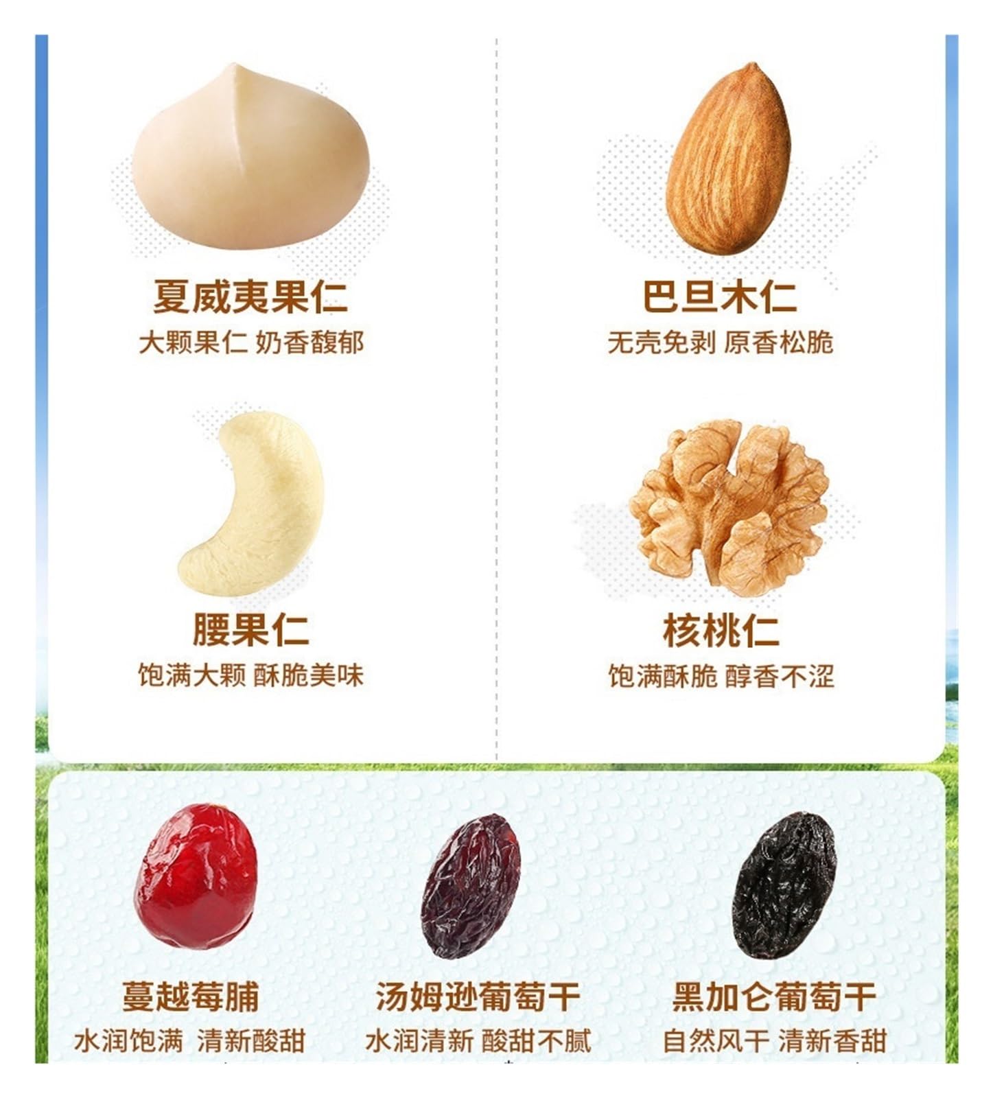 50 g de snacks de nueces mixtas envasados ​​individualmente(10bag)