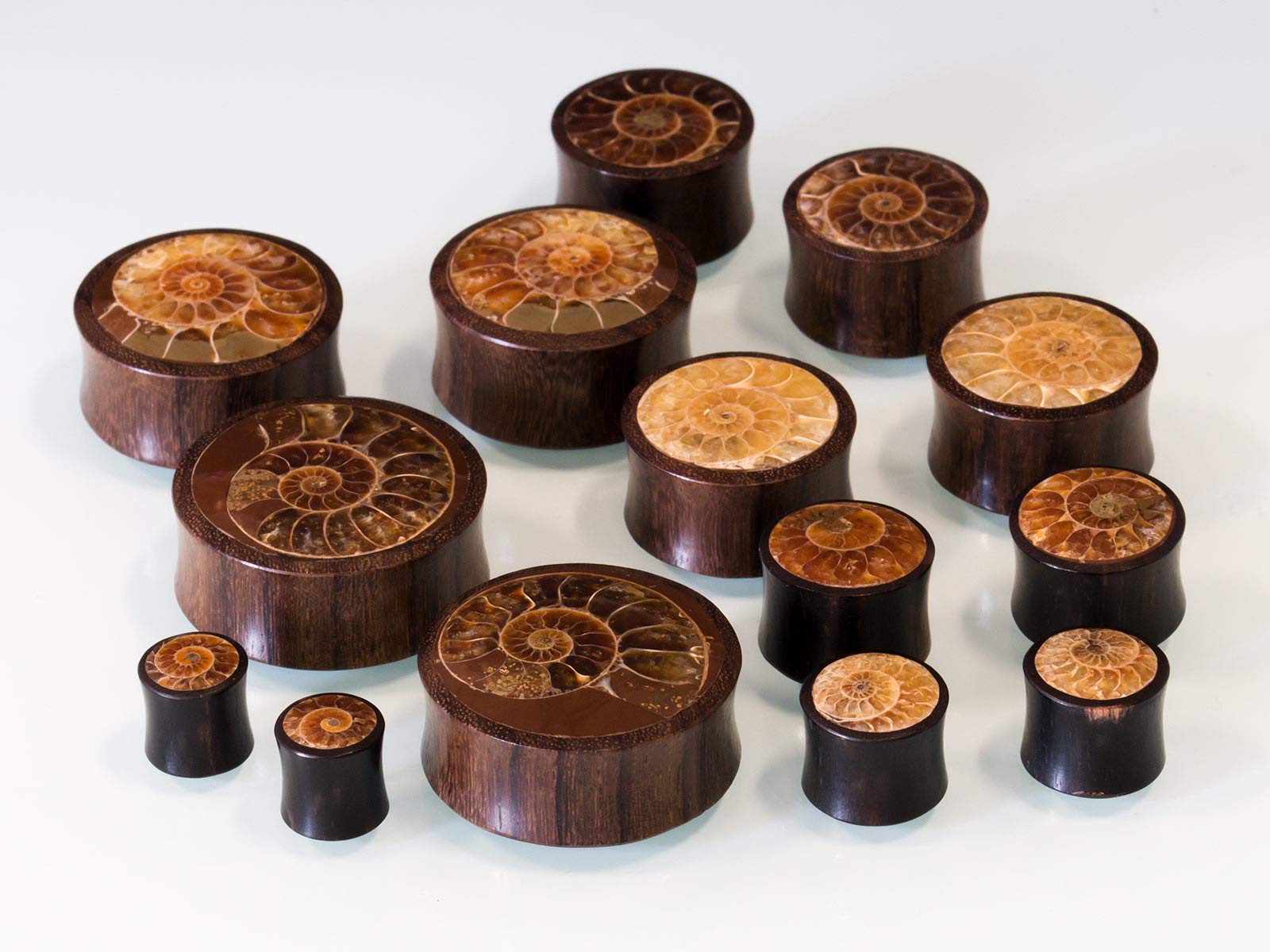Fly Style Piercing Ohr Tunnel Plug - Ohr Piercings - Ammoniten Earplug Holz Horn