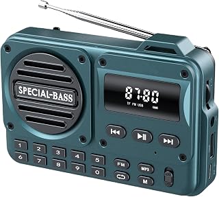 Pocket Radio FM USB-C Charging 2000mAh Rechargeable Excellent Reception Clear Speaker and Headphone Jack,LCD Screen,FM Radio for Walk/Jogging/Gym, Bluetooth/TF.(NO AM) (Turquoise)