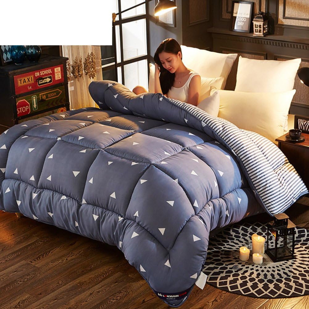 DFJSOEPCMKLS Comforter bed quilt down alternative quilted warm thick single double spring autumn winter-A 150x200cm(59x79inch)