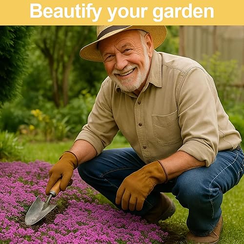 Miniatura 4 de Más de 30,000 semillas de tomillo rastrero morado, cubierta perenne a granel sin OMG para césped y jardines, planta aromática de bajo mantenimiento,