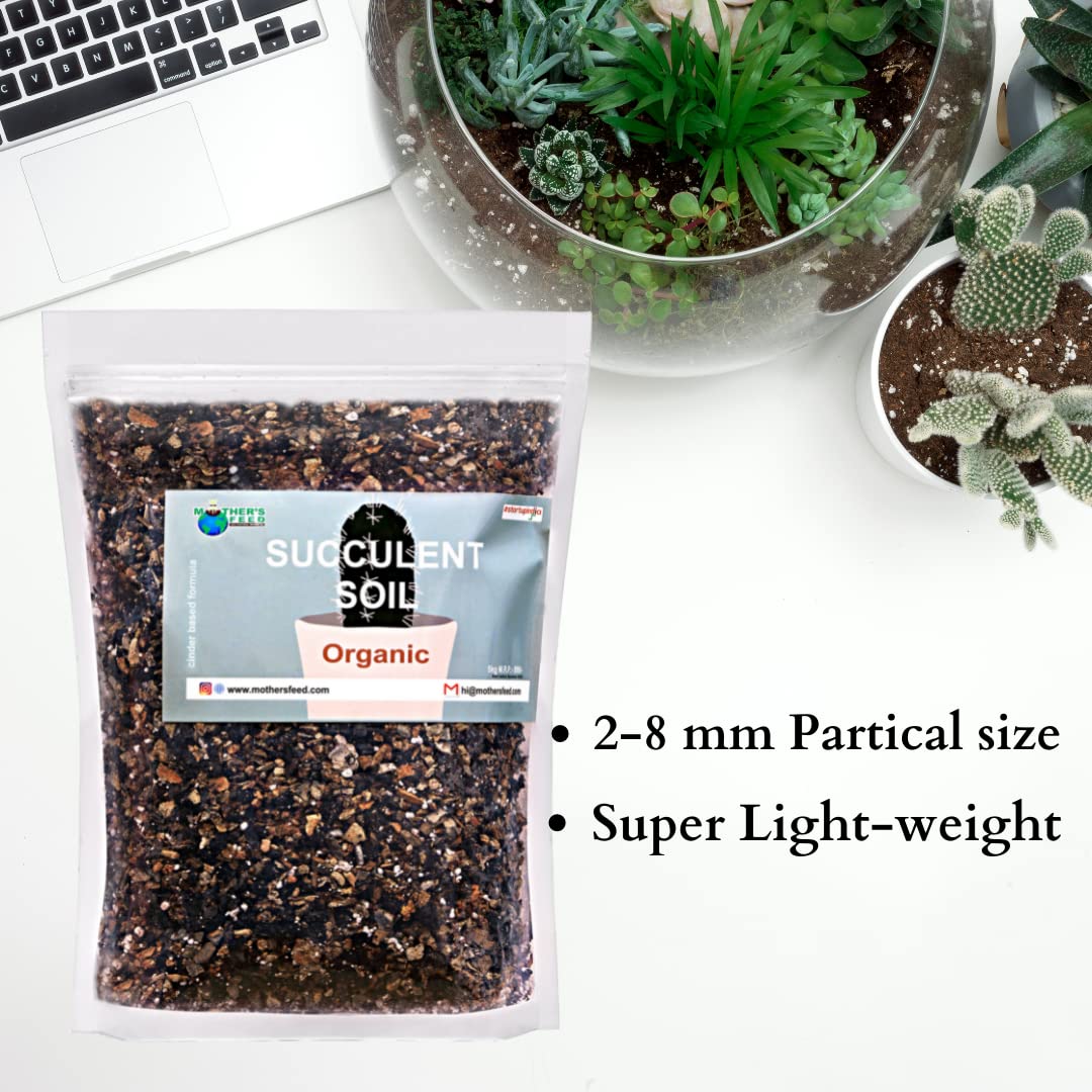 Mother's feed Organic Succulent Soil 5kg Granular (2-8mm) Potting Mix Contains Washed Cinder, Leaf Compost, Perlite,Neem Khali for All Less Water Indoor Plants i.e. Succulents, Cactus 3
