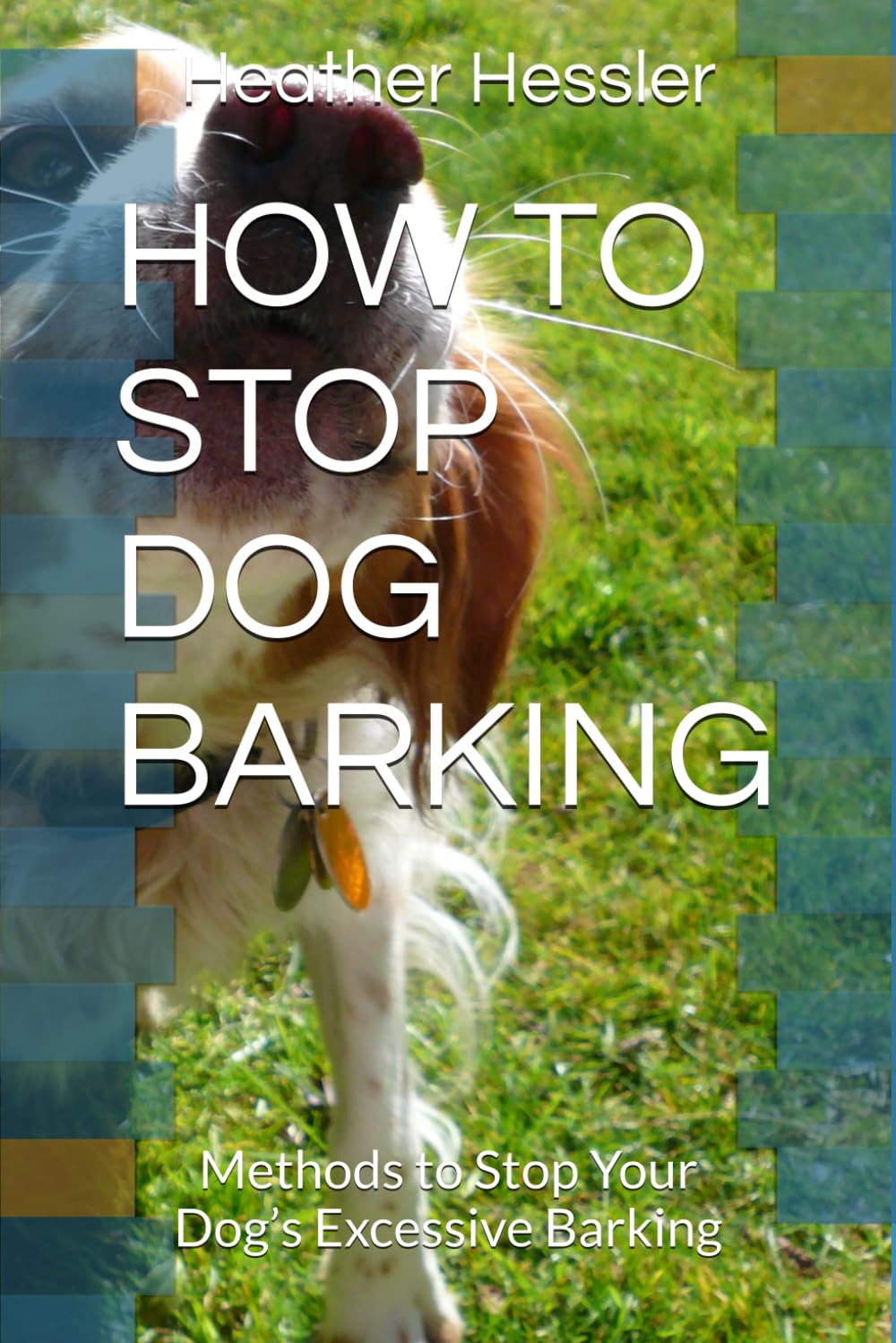 HOW TO STOP DOG BARKING: Methods to Stop Your Dog’s Excessive Barking