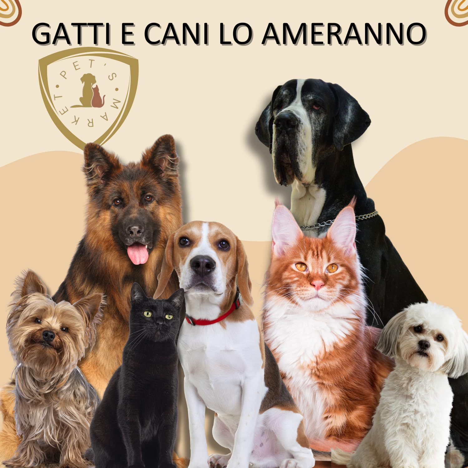 Pet’s Market Trasportino Skudo 3 Gatto Cane Rigido Sacchetti Igienici in Omaggio Accessorio da Viaggio Animali Porta in Ferro Fessure Conforme agli Standard Aerei (3 (60X40X39h))