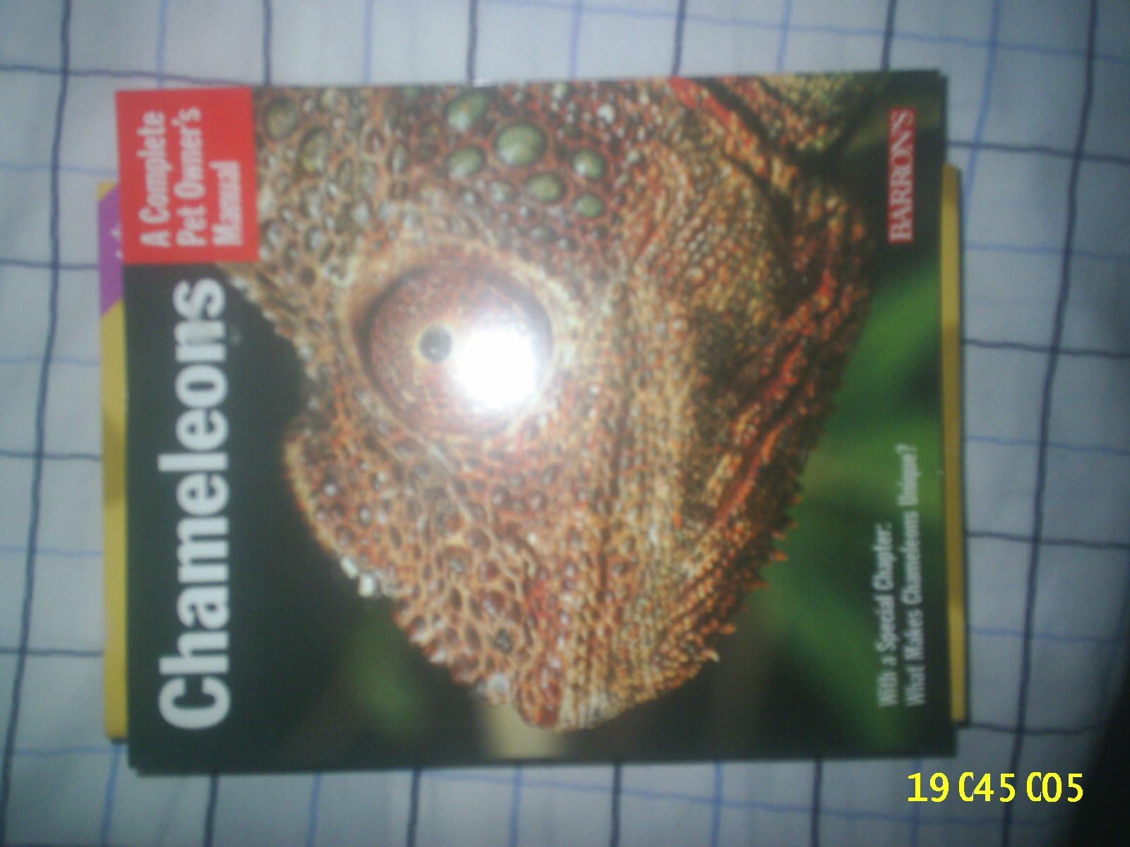 Chameleons: Everything About Purchase, Care, Nutrition, And Breeding (Complete Pet Owner's Manual) Paperback – Illustrated, January 1, 2005