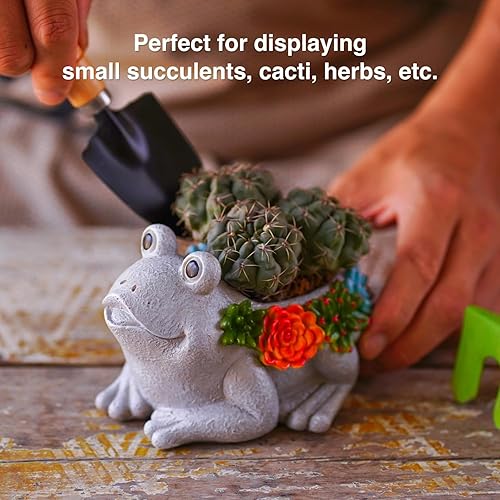 Miniatura 4 de Macetas de rana de jardín, bonitas macetas pequeñas para suculentas, bonitas macetas de flores, grandes regalos para mujeres, mamá, cumpleaños,