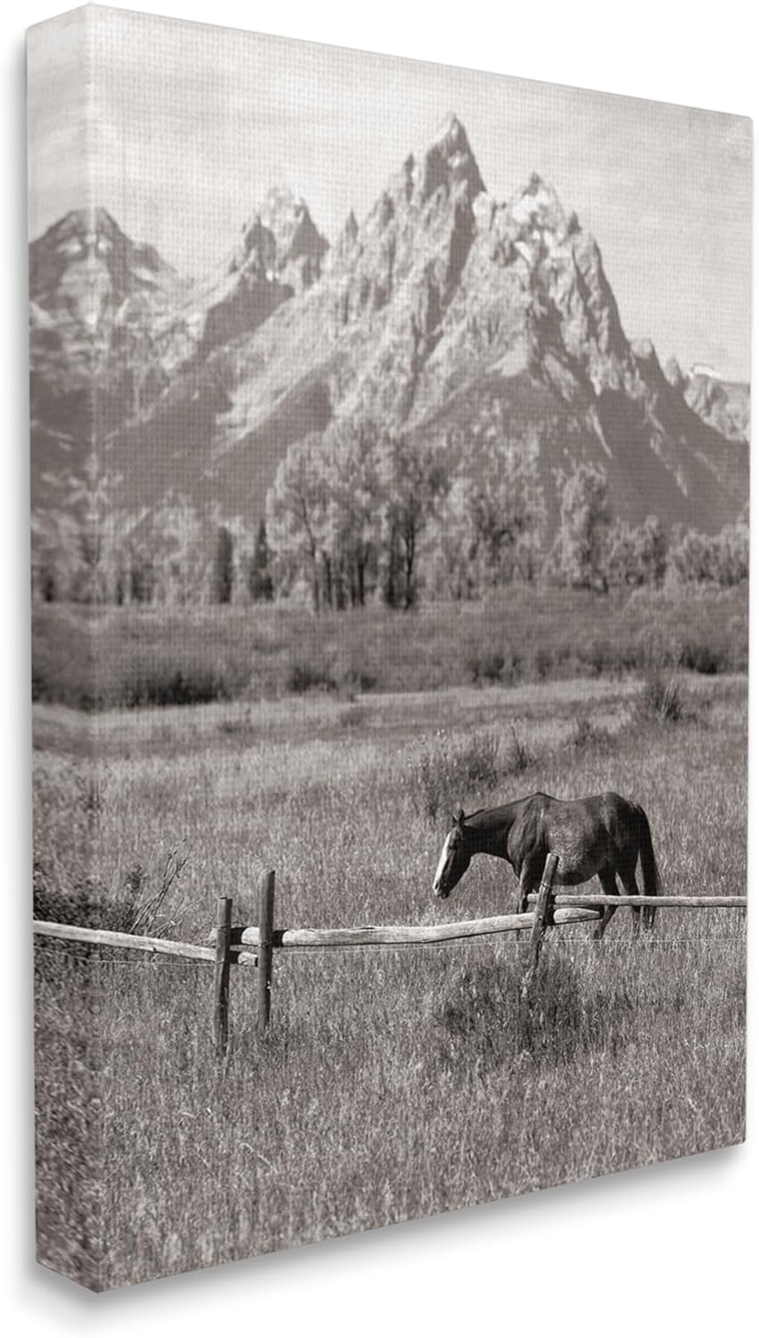 Stupell Industries Horse & Mountain Scenery Canvas Wall Art by Daniel Sproul