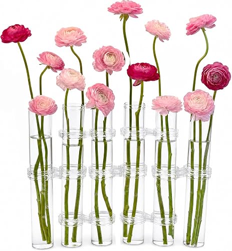 TBWHL 6Pcs Test Tube Vases Flower Vase Clear Cylinder Tiny Glass Foldable Vase Test Tube Propagation Station, Test Tube for Plants Small Vase for Flowers with 15Pcs Hooks, Bulk Vases for Home Decor